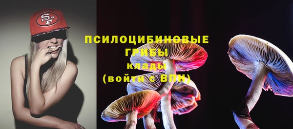 стаф Горнозаводск