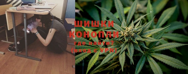 стафф Магадан
